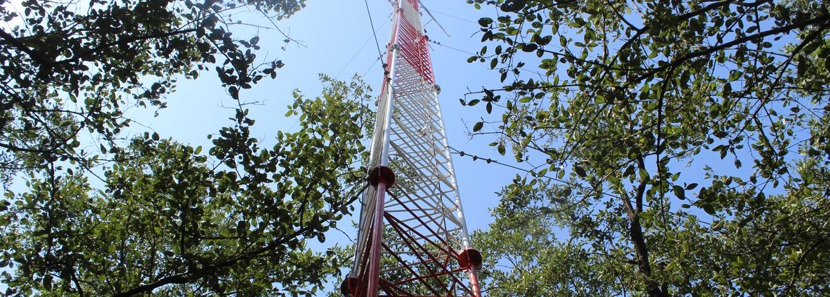 TORRE DE MONITOREO DE CARBONO-b